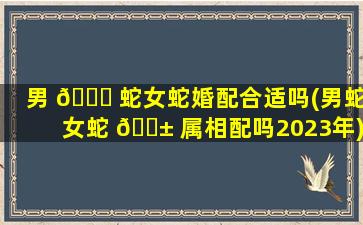 男 🐞 蛇女蛇婚配合适吗(男蛇女蛇 🐱 属相配吗2023年)